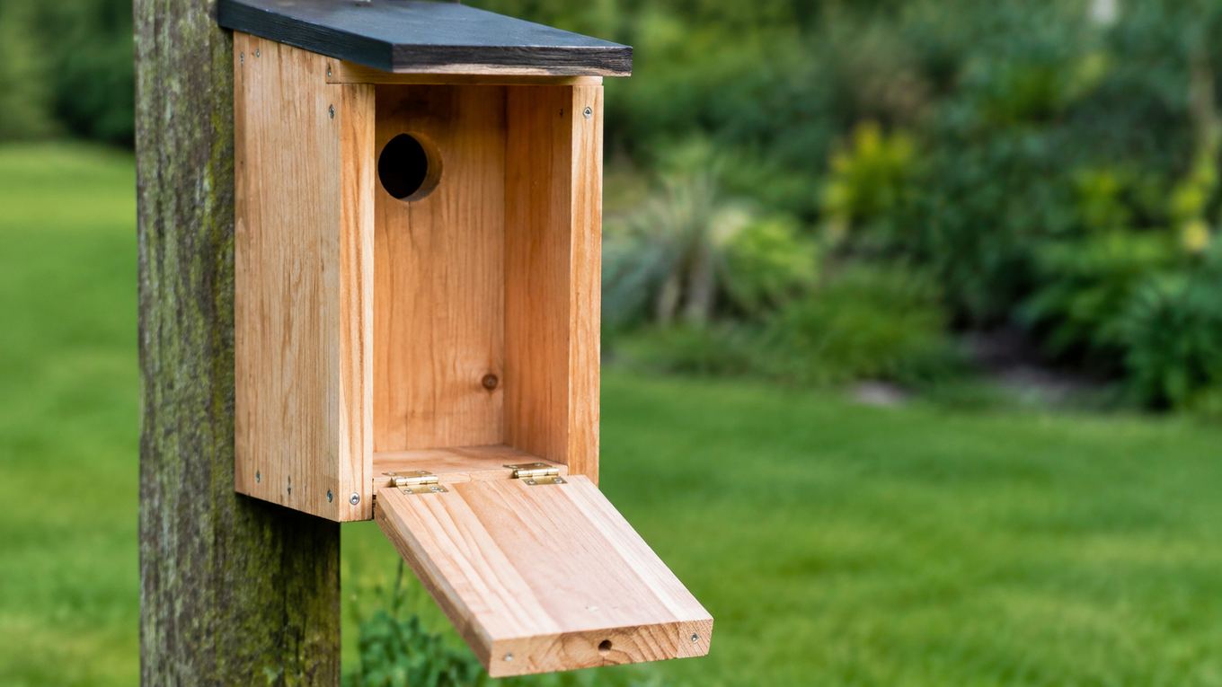 A clean, empty wooden nest box with the access panel open, ready for the next season