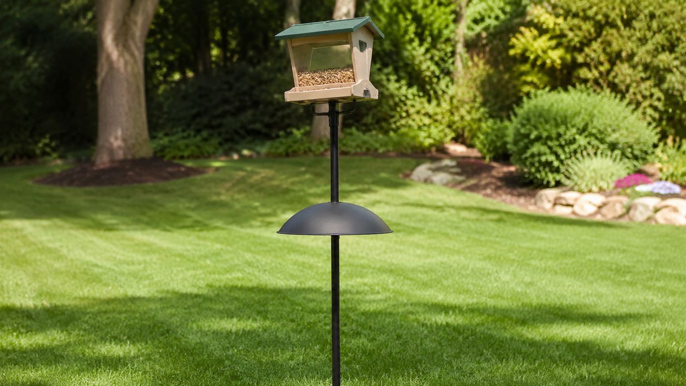 A correctly installed dome baffle mounted level on a bird feeder pole