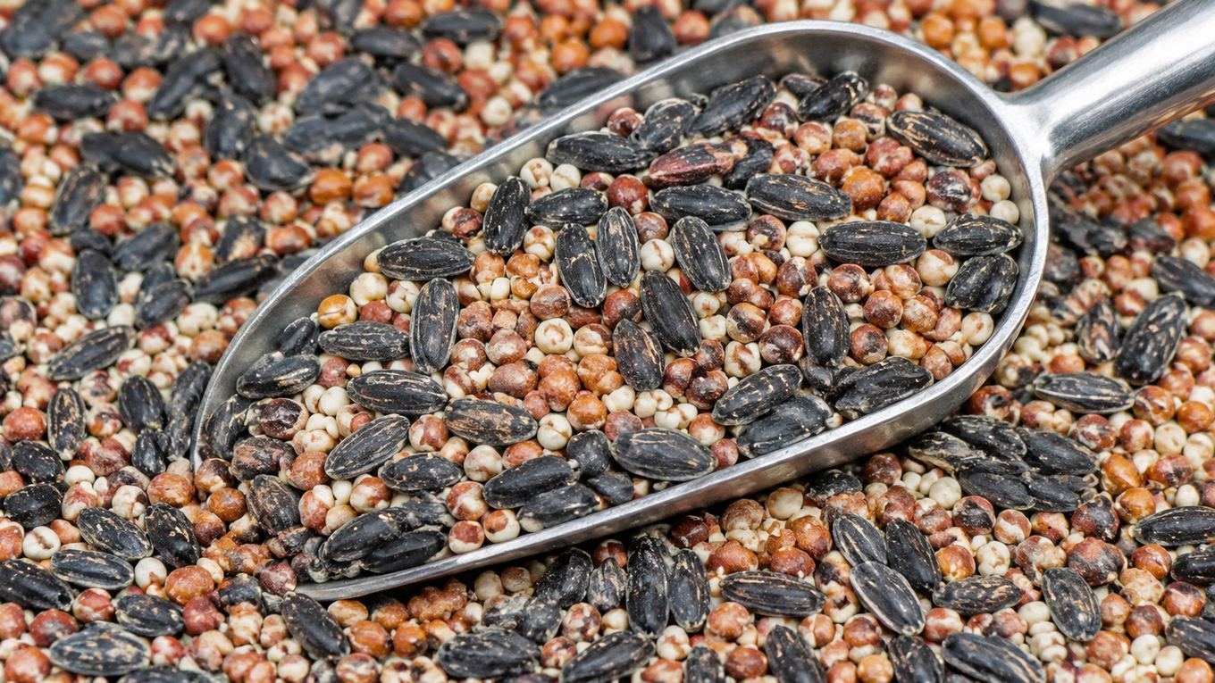 A pile of mixed birdseed with visible red milo, millet, and sunflower seed