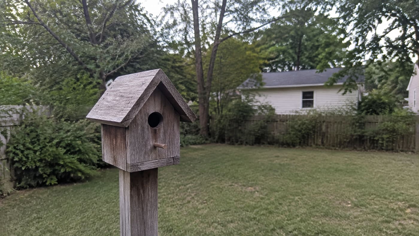 What I Learned Watching a Nest Empty Out This Summer